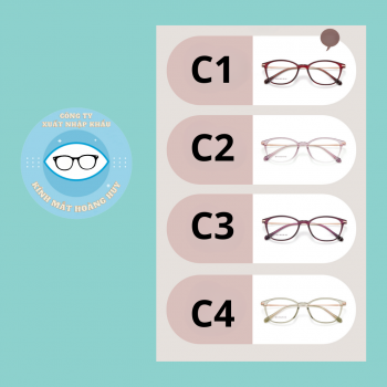 Gọng nhựa nữ mã 2613